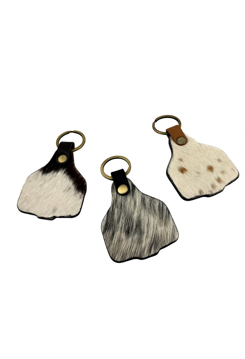 Range Rider Collection